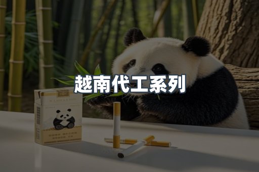 越南代工系列